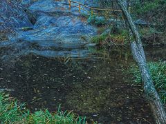-木兰云雾山