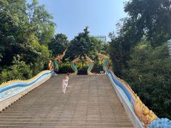 -西双版纳勐泐文化旅游区