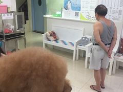 -瑞鹏·疫苗·绝育·宠物医院(金沙洲店)