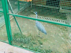 -宿豫区运河湾森林动物园