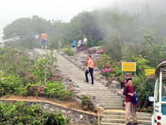 景点-清溪森林公园