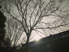 -覃肥叔桂林米粉(粮道街店)
