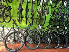 -美利达自行车(天通西苑一区店)