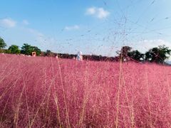 -汉长安城未央宫国家考古遗址公园