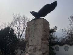 -北京鹫峰国家森林公园