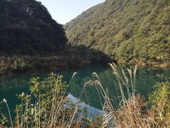 -午潮山国家森林公园
