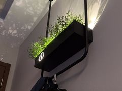 -华夏良子·足道SPA艾灸(铁道大厦店)