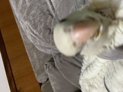 -雨林宠物医院 非犬猫异宠专科