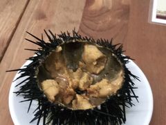 -海胆小馆(东北水饺·春柳店)