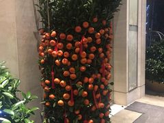 -新发展亚太JW万豪酒店·福苑咖啡厅