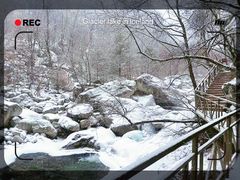 -青峰峡国家森林公园