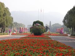 -东南花都花博园