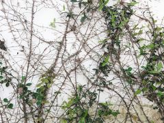 -楼外楼(玉泉店)