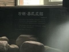 -8号公馆(金川街店)