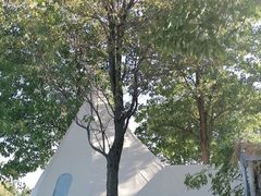 -安德鲁户外烧烤帐篷营地(马泉营店)