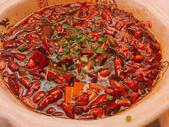 -陈麻婆豆腐总店