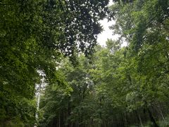 -南京老山国家森林公园