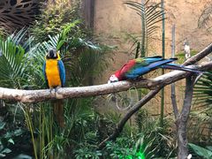 -杭州开元森泊度假乐园