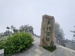 -王莽岭风景区