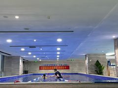 -小蓝鲸游泳培训基地(石景山店)