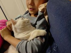-瑞派雷欧宠物医院·中兽医·眼科·急重症转诊中心(黄台店)