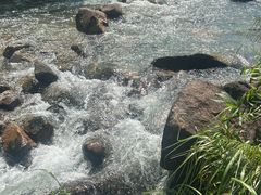 -广州白江湖森林公园