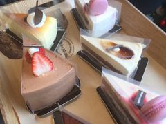 -多乐之日(田林东路店)
