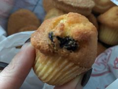 -上海哈尔滨食品厂(淮海中路店)