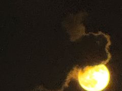 -珠江夜游西堤码头