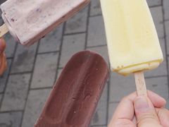 小豆冰棍-康乐