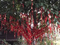-乌镇西栅景区-月老庙