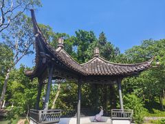 -盆景园(扬州大运河文化旅游度假区)