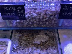 -渔民船说·北塘海鲜·天津菜·海肠捞饭(北塘古镇店)