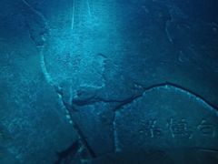 -白鹤梁水下博物馆