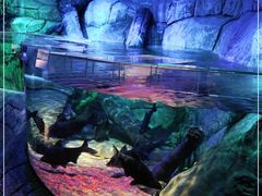 -沈阳海洋探索中心