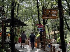 -沂蒙山旅游区云蒙景区(蒙山国家森林公园)
