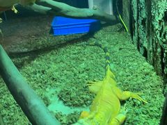 -海合安武汉极地海洋公园