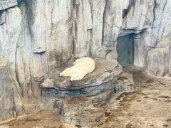 -西安曲江海洋极地公园