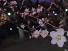 -满都海公园