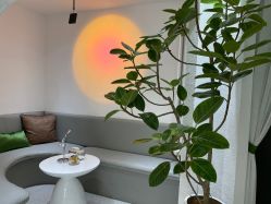 点击看大图 -薇薇安花系SPA