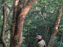 -杭州半山国家森林公园