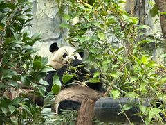 -泉州海丝野生动物世界