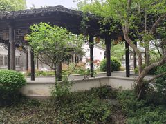 -芥子园