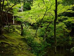 -西芳寺(苔寺)