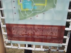 -嘉定紫藤园