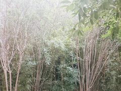 -苍山感通索道