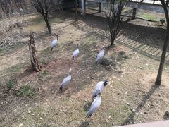 -杭州野生动物世界