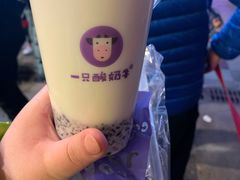 -一只酸奶牛(八一路店)