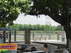 某日，风和日丽，尤物游黄埔古港 (14)-黄埔古港