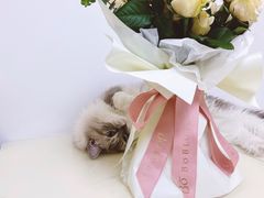 -BOBLOOM花店(宝龙旭辉广场店)
